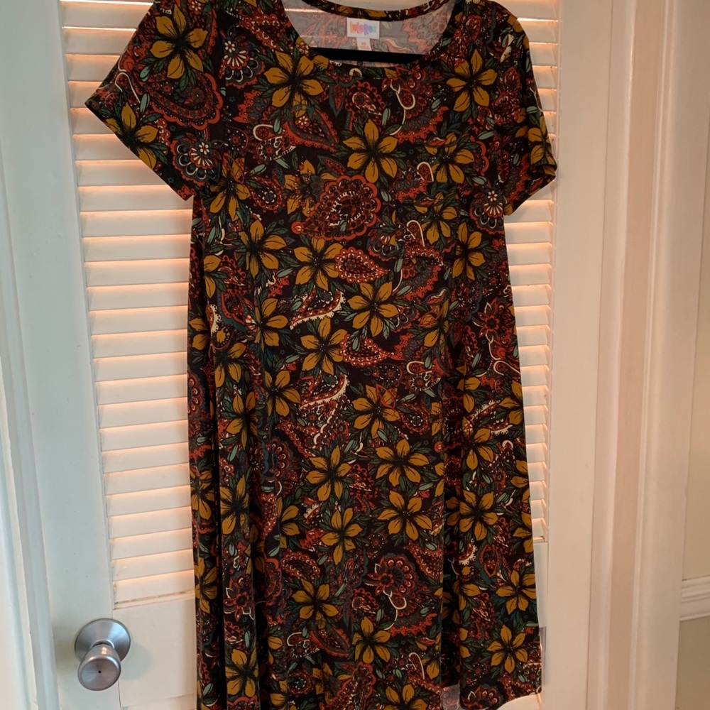 LulaRoe Carly